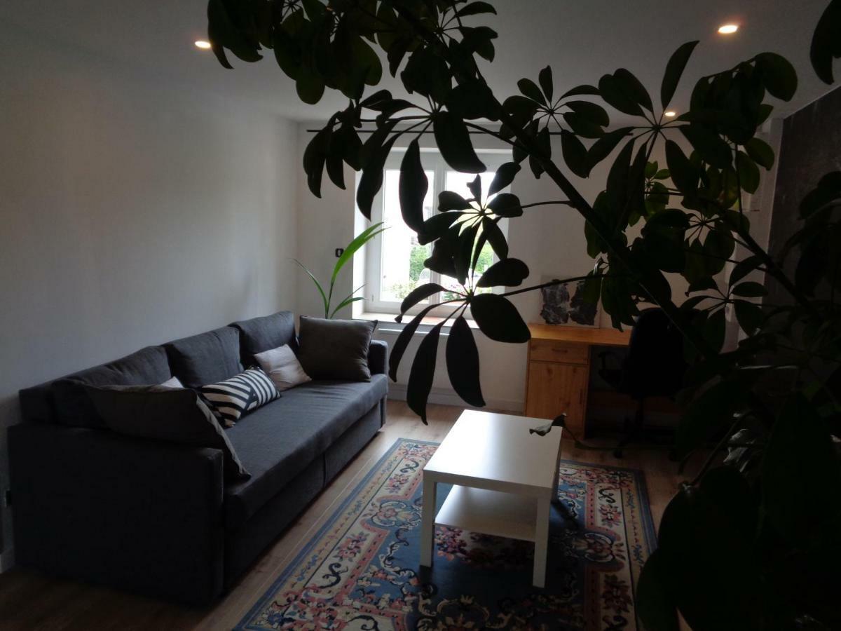 Appartement Independant Le Panassa, Centre Ville, Garage Prive Сент-Этьен Экстерьер фото