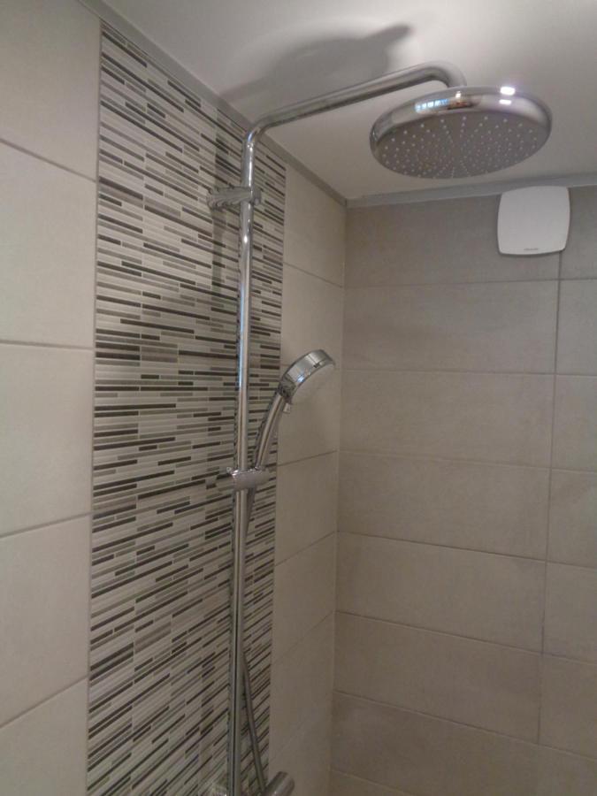 Appartement Independant Le Panassa, Centre Ville, Garage Prive Сент-Этьен Экстерьер фото
